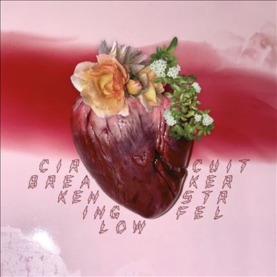 dショッピング |Ken Stringfellow 「Circuit Breaker」 CD