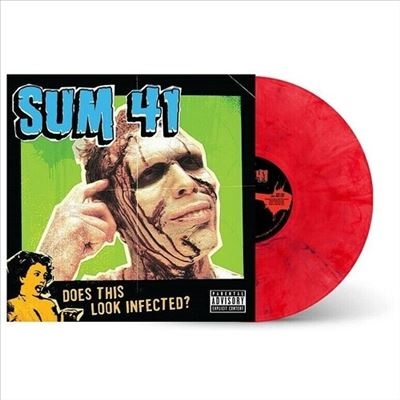 その他sum41 レコード - www.proyectogeoparquevolcanesdecalatrava.es