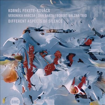 Different Aspects of Silence Different Aspects of Silence