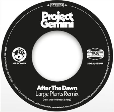 Project Gemini/After The Dawn (Large Plants Remix) / Darkness Rising[MRB7227]