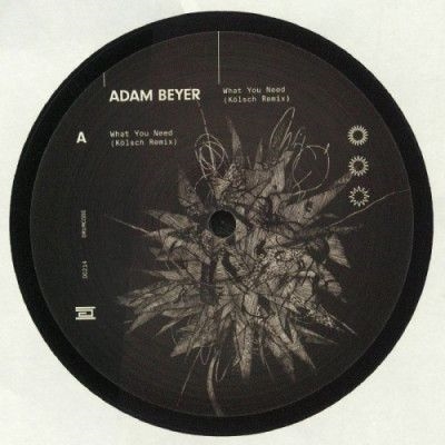 Adam Beyer/What You Need[DC214]