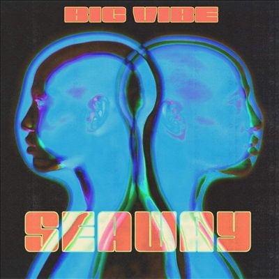 Big Vibe