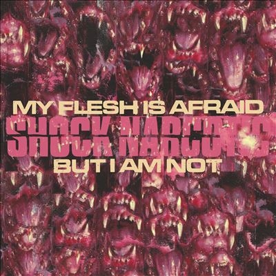 TOWER RECORDS ONLINE㤨Shock Narcotic/My Flesh Is Afraid But I Am Not[HOCO501]פβǤʤ4,290ߤˤʤޤ