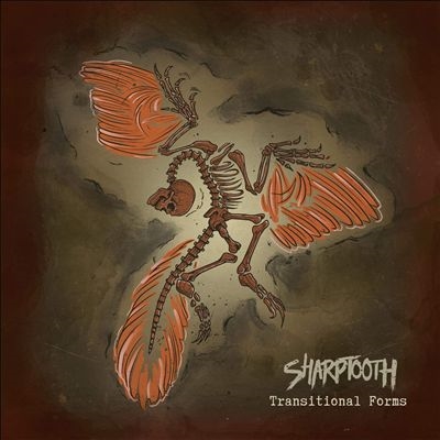 TOWER RECORDS ONLINE㤨Sharptooth/Transitional Forms[PUNO27711]פβǤʤ3,890ߤˤʤޤ