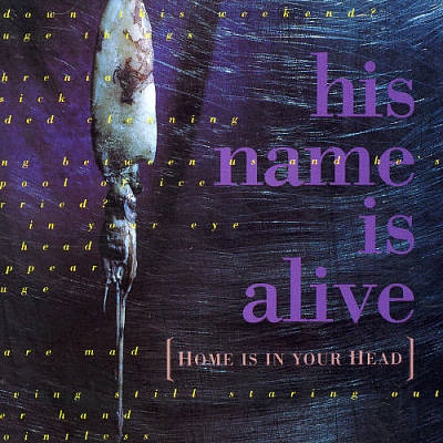 Home Is in Your Head Home Is in Your Head