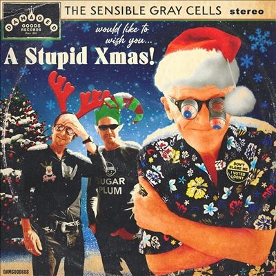 A Stupid Xmas!