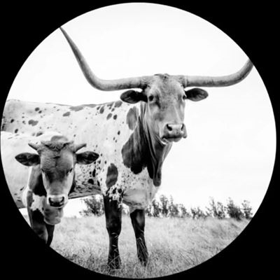 West Texas Blues＜Picture Vinyl＞