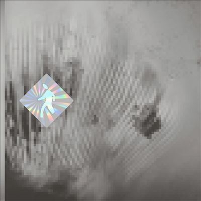 Discovery Zone/Quantum Web[RVNGNL112]