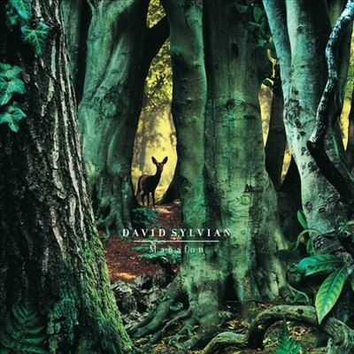 David Sylvian/Manafon : Deluxe Edition ［CD+DVD］＜完全生産限定盤＞