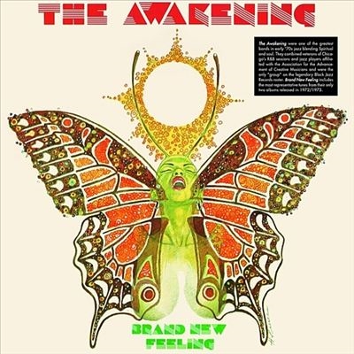 見事な [未使用品] Awakening:Sleeping [アナログレコード LP] 邦楽