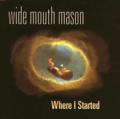 Wide Mouth Mason/Where I Started[LPRRL003]