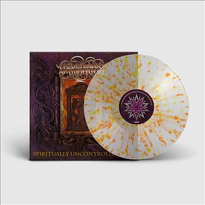 TOWER RECORDS ONLINE㤨Liers In Wait/Spiritually Controlled ArtEtched Vinyl[AR088LPC2]פβǤʤ4,890ߤˤʤޤ