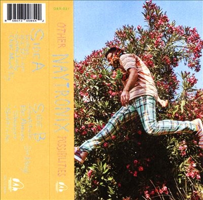 Other Possibilities Other Possibilities