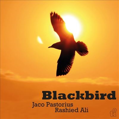 Blackbird＜限定盤＞