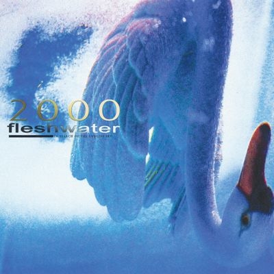 TOWER RECORDS ONLINE㤨Fleshwater/2000 In Search Of The Endless Sky[CLCR150CD]פβǤʤ2,690ߤˤʤޤ