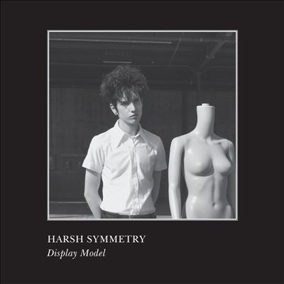 Harsh Symmetry/Display Model[DS0412]