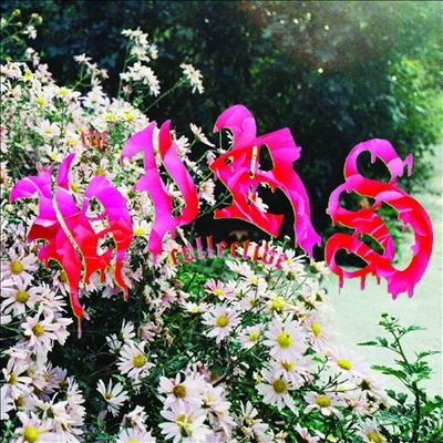 The HIRS Collective/We're Still HereWhite Vinyl[LPGBR153C]