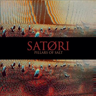 Satori/Pillars Of Salt[CSR346CD]