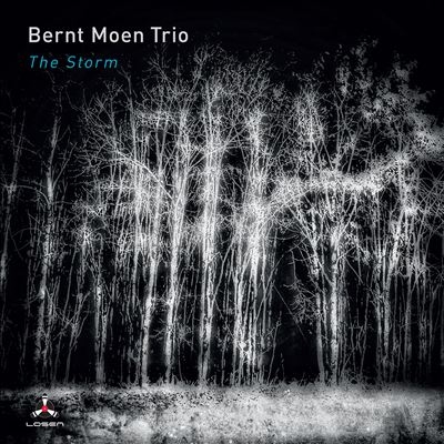 TOWER RECORDS ONLINE㤨Bernt Moen Trio/The Storm[LOS2632]פβǤʤ3,090ߤˤʤޤ