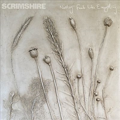 Nothing Feels Like Everything Nothing Feels Like Everything