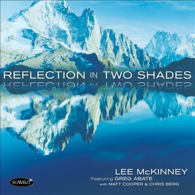 Lee McKinney/Reflection In Two Shades[DCD819]