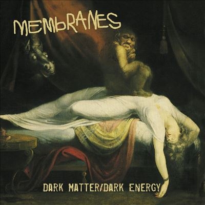 TOWER RECORDS ONLINE㤨The Membranes/Dark Matter/Dark Energy/Clear Vinyl[LTW032]פβǤʤ7,890ߤˤʤޤ