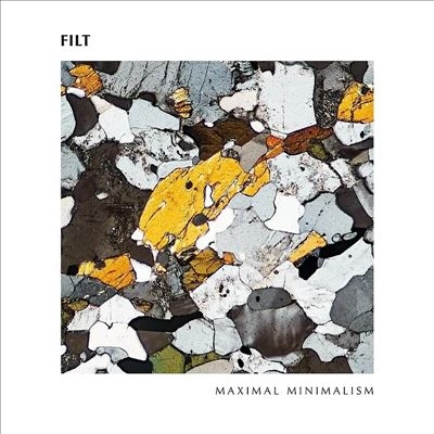 TOWER RECORDS ONLINE㤨Filt/Maximal Minimalism[LPMALMO013]פβǤʤ4,090ߤˤʤޤ
