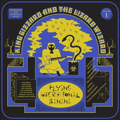 King Gizzard &The Lizard Wizard/Flying Microtonal Banana[HVNLP136X]