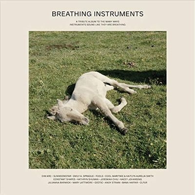 Breathing Instruments[TTP107]