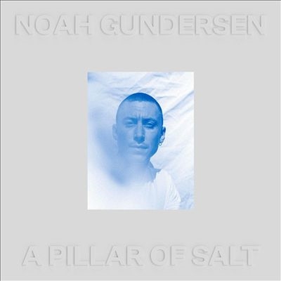 Noah Gundersen/A Pillar of SaltClear Vinyl[COOKLP807]