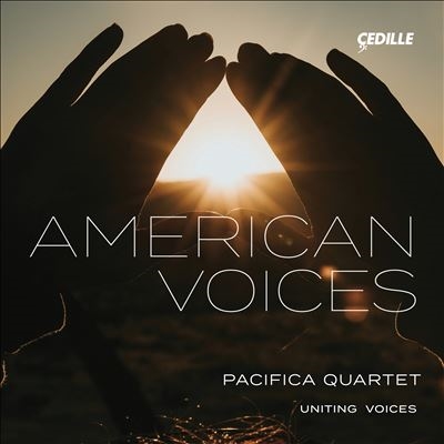 American Voices American Voices