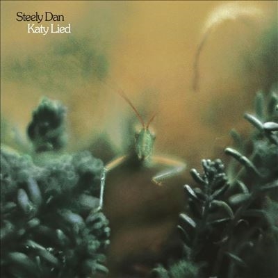 【未開封】SACD　Katy Lied　うそつきケイティ　アナプロ Katy Lied/Steely Dan