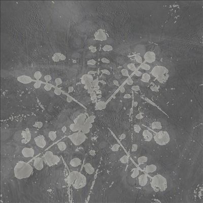 TOWER RECORDS ONLINE㤨Sabla/Music For Melted Floors[PNSO11]פβǤʤ7,090ߤˤʤޤ