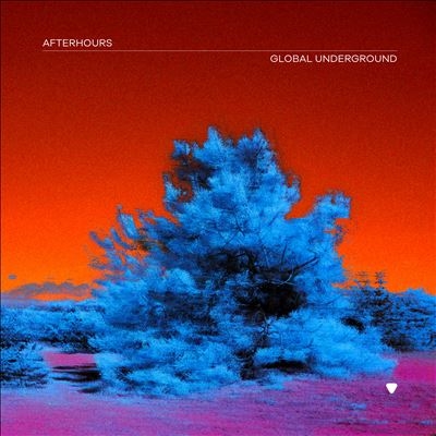 Global Underground Afterhours 9[190296143687]