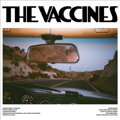The Vaccines/Pick-Up Full Of Pink Carnations[SETT87937CD]