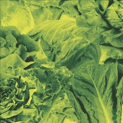 Lettuce/Monorail 3000 B/W Star Children[LTUC257]