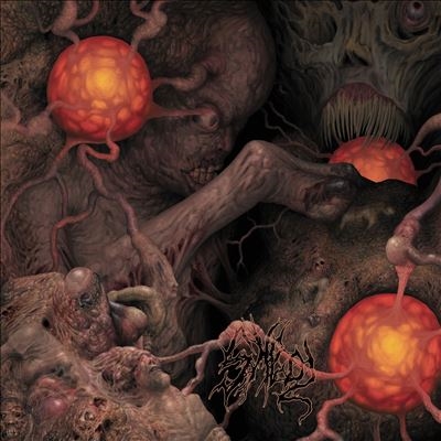 Sheol 4-Way Split[NSE10802]
