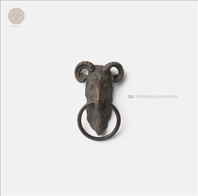 Terminalia Amazonia＜Clear Vinyl＞