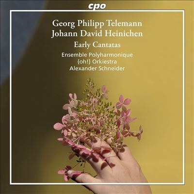 George Philipp Telemann, Johann David Heinichen: Early Cantatas