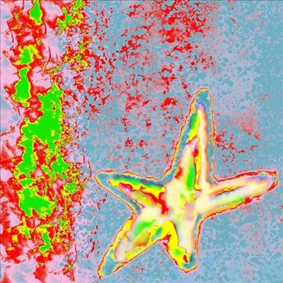 TOWER RECORDS ONLINE㤨Lagoss/Splitting Hits for the Heat Damage[SUC69]פβǤʤ3,190ߤˤʤޤ