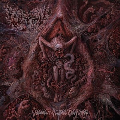 ブルデス スラミング Vulvectomy CD 3枚セット dショッピング |Vulvectomy 「Aberrant Vaginal Gestation」 CD