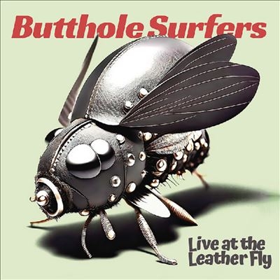 BUTTHOLE SURFERS　レコード　12インチ　1988年作品 BUTTHOLE SURFERS レコード 12インチ 1988年作品 BUTTHOLE