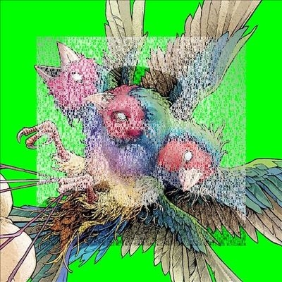 TOWER RECORDS ONLINE㤨Gouldian Finch/Hatch[OOAALP001]פβǤʤ5,390ߤˤʤޤ