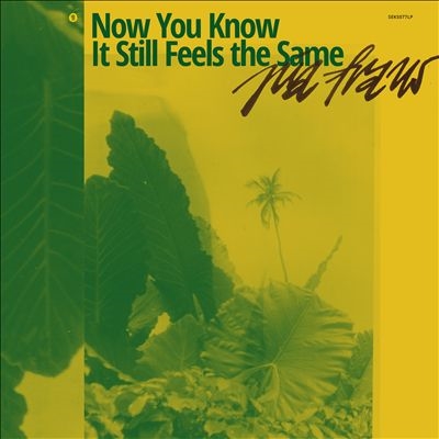 Pia Fraus/Now You Know It Still Feels the Same[SEKS772]