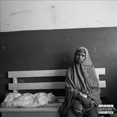 Vinnie Paz/God Sent Vengeance[ITSK25012]