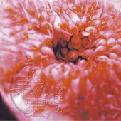 きわもの達の果実