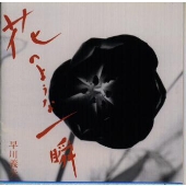 花のような一瞬