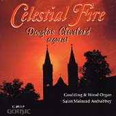Celestial Fire / Douglas Cleveland
