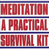 Meditation: A Practical Survival Kit