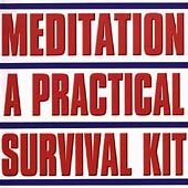 Meditation: A Practical Survival Kit